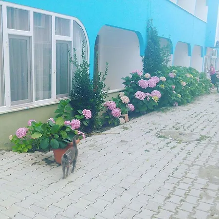 Motel Ada *