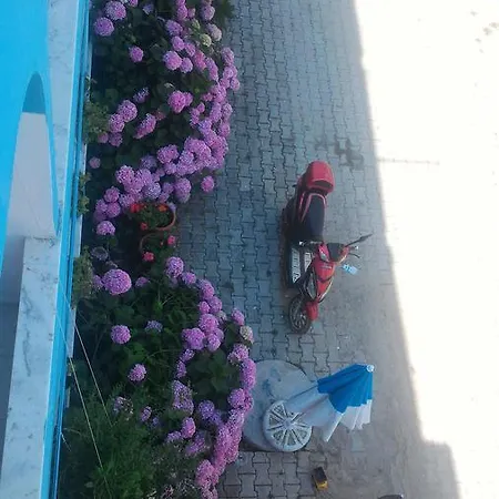 Ada